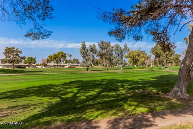 view of property's community with a yard