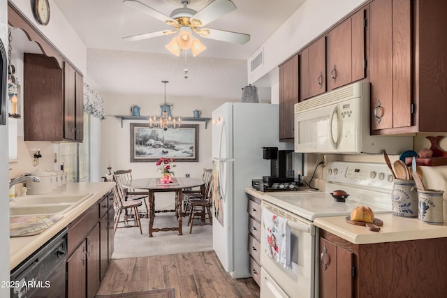 kitchen featuring light hardwood / wood-style floors, white appliances, pendant lighting, ceiling fan with notable chandelier, and sink