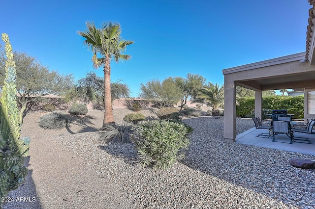 view of yard featuring a patio