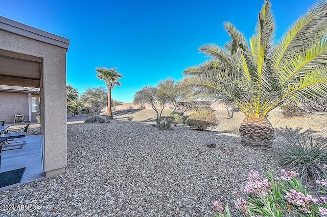 view of yard with a patio area