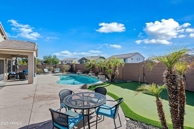 view of pool featuring a patio