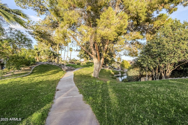 view of property's community with a lawn