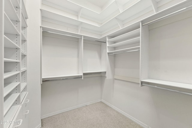 spacious closet featuring carpet
