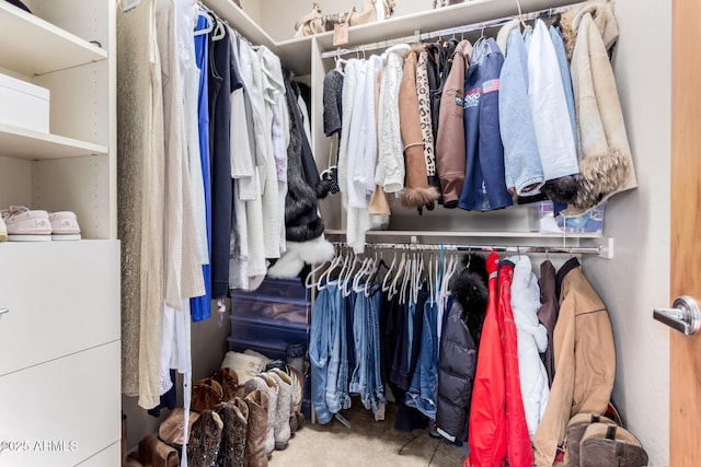 spacious closet with carpet floors