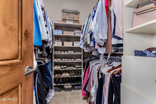 walk in closet featuring carpet floors