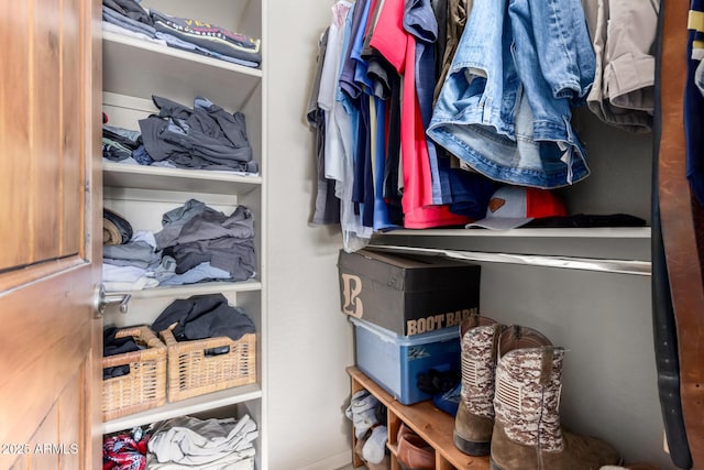 view of walk in closet