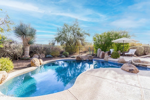 view of pool with a patio