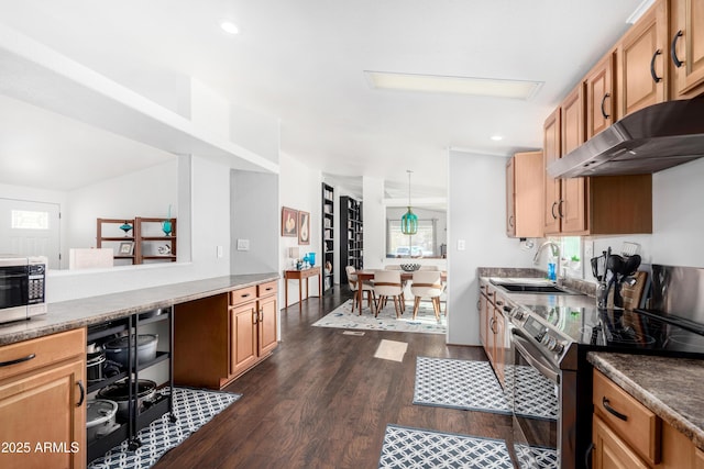 kitchen with dark wood-style flooring, decorative light fixtures, stainless steel appliances, a sink, and under cabinet range hood