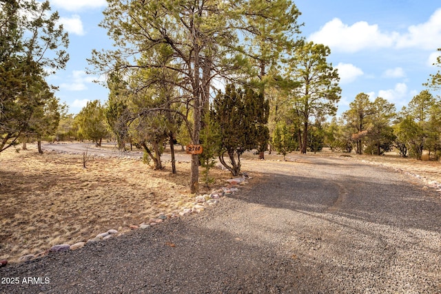 2761 Jaguar Cir, Overgaard, AZ 85933 - view of road
