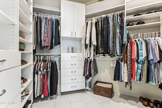 view of spacious closet