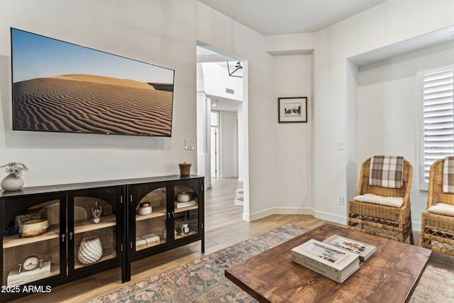 living room with wood-type flooring