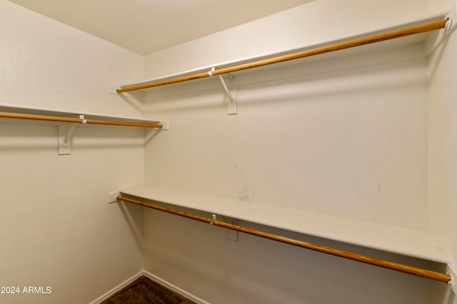 walk in closet featuring carpet flooring