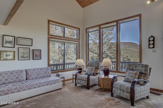 interior space with high vaulted ceiling and a healthy amount of sunlight