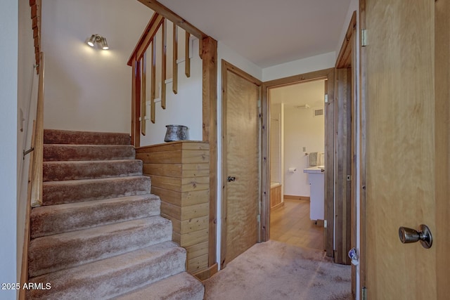 staircase featuring carpet floors