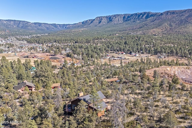 birds eye view of property featuring a mountain view