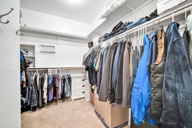 spacious closet with light colored carpet