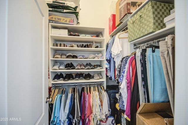 4369 E Coal St, San Tan Valley, AZ 85143 - view of walk in closet