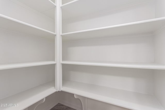 20499 W Alsap Rd, Buckeye, AZ 85396 - view of pantry