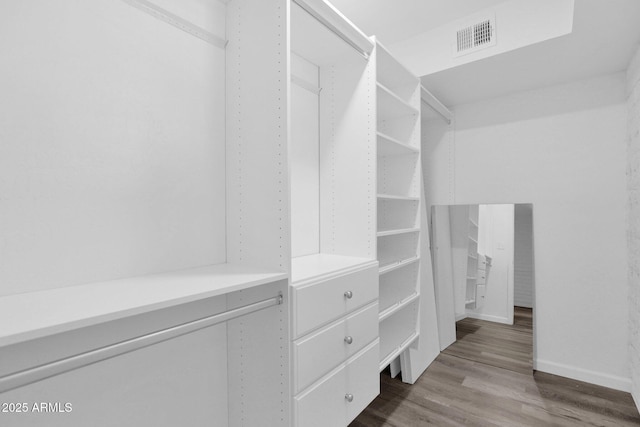 29835 N 56th St N, Cave Creek, AZ 85331 - spacious closet with dark wood-style flooring