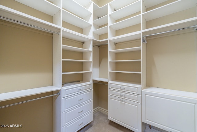 walk in closet featuring carpet floors