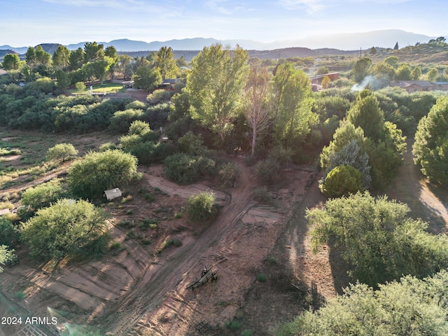 drone / aerial view featuring a mountain view