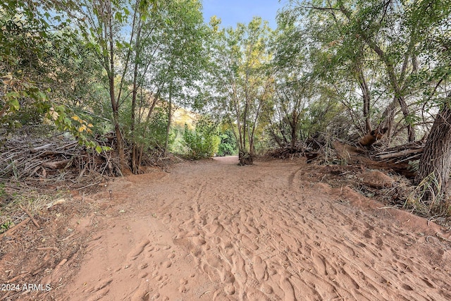 view of local wilderness