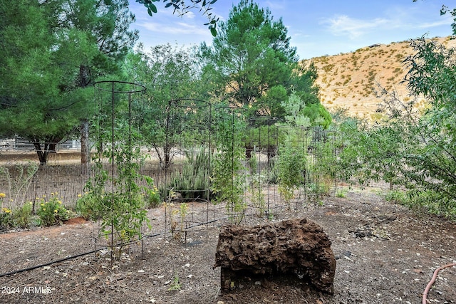 view of yard with a mountain view