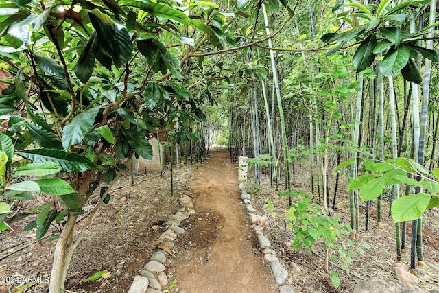 view of landscape