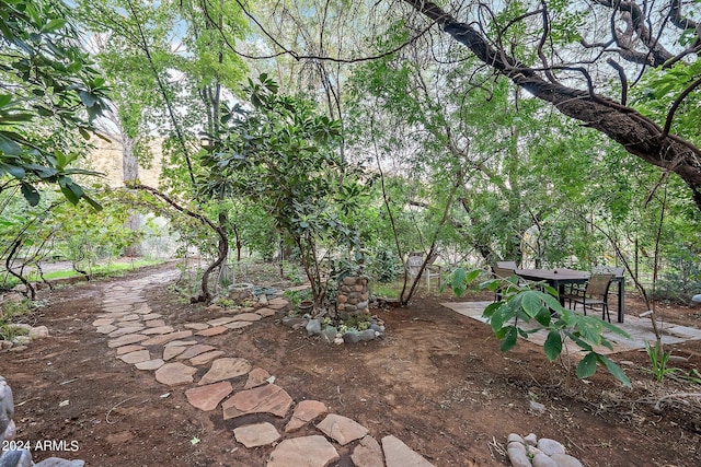 view of yard with a patio area