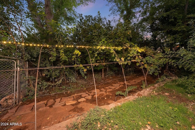 view of yard at dusk