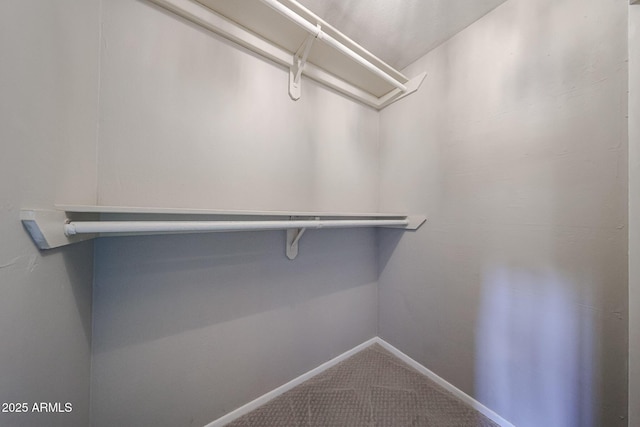 6533 N 7th Ave Unit 18, Phoenix, AZ 85013 - walk in closet featuring carpet flooring