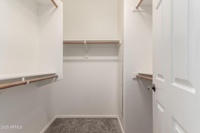 walk in closet featuring carpet flooring