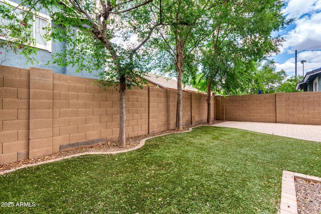 view of yard featuring a patio