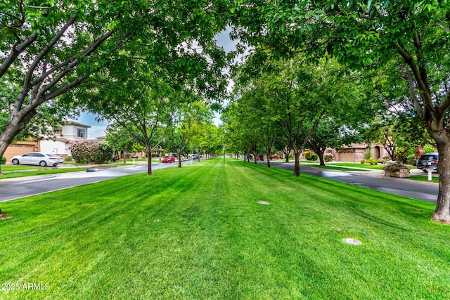 view of green lawn