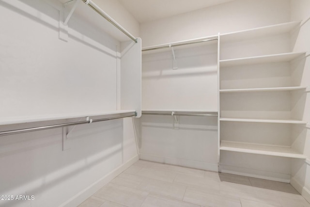 view of spacious closet