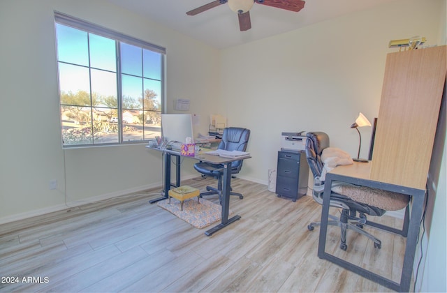 office space featuring ceiling fan and light wood-type flooring