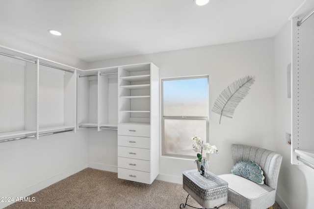 walk in closet featuring light carpet