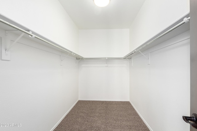 spacious closet featuring carpet floors