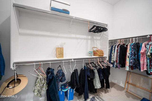 walk in closet with light colored carpet