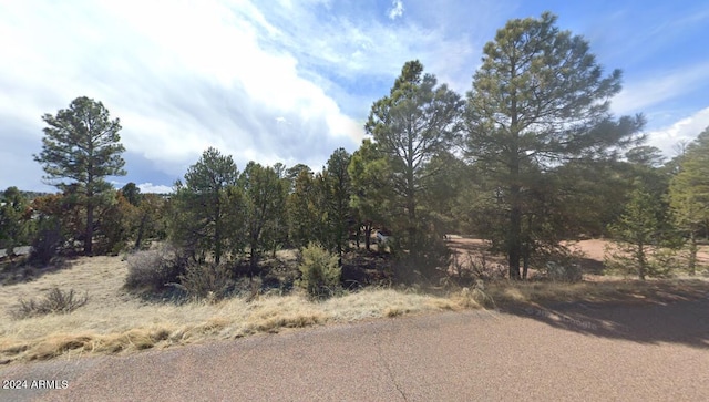 2223 Fairway Dr Unit 16, Overgaard AZ, 85933 land for sale