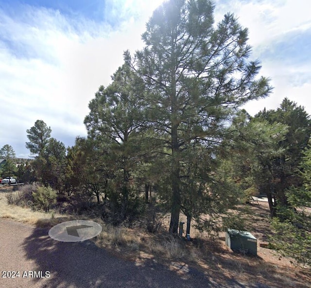 Listing photo 3 for 2223 Fairway Dr Unit 16, Overgaard AZ 85933