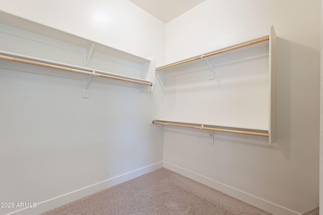 spacious closet with carpet