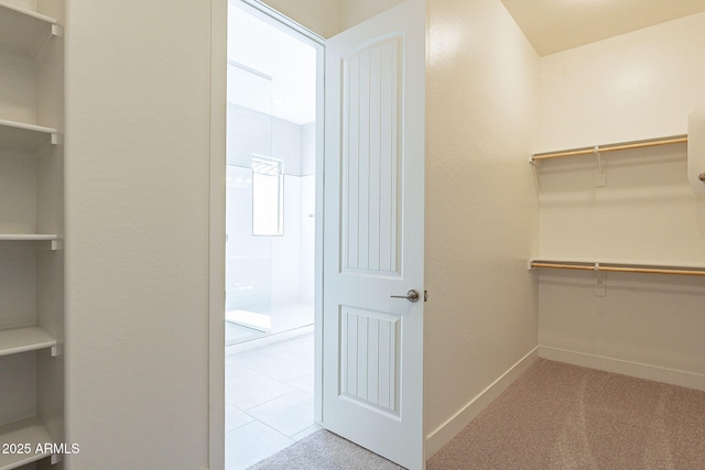 spacious closet featuring light carpet