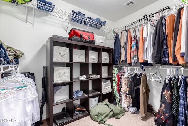 walk in closet featuring carpet floors