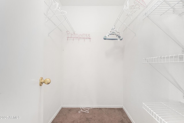 walk in closet with carpet