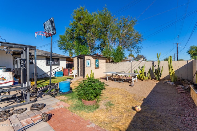 view of yard featuring a patio area and a storage unit