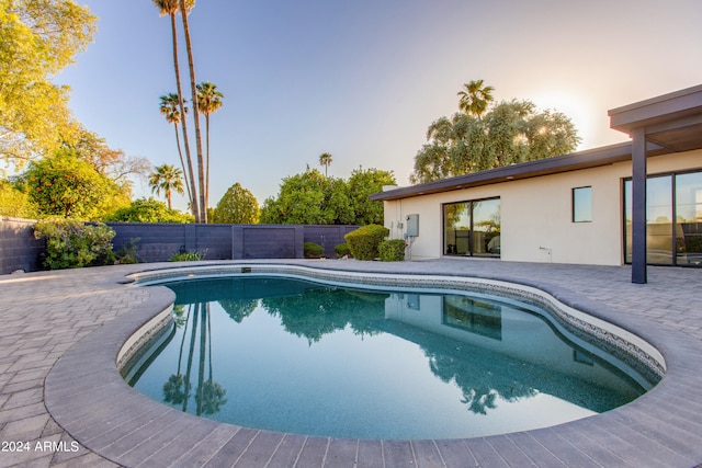 view of pool featuring a patio area