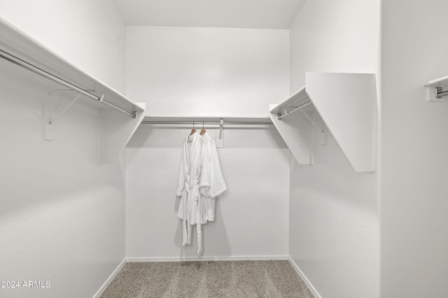 spacious closet featuring carpet flooring