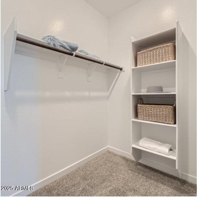 1516 W Ridge Rd, Apache Junction, AZ 85120 - spacious closet featuring carpet flooring