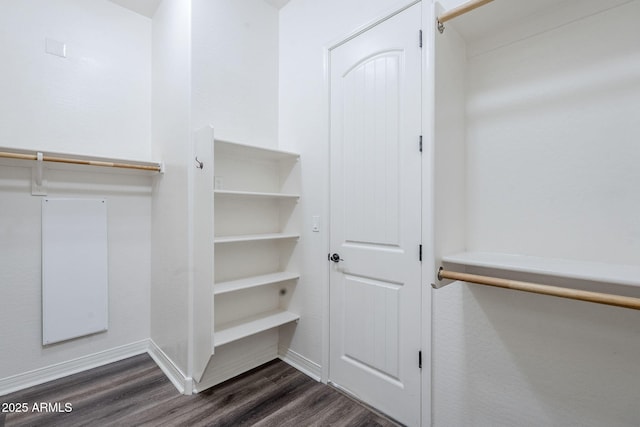 spacious closet featuring dark wood-style flooring